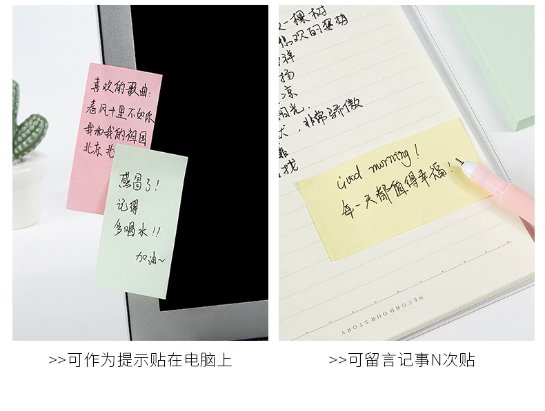 TZ3003(790)_08.jpg