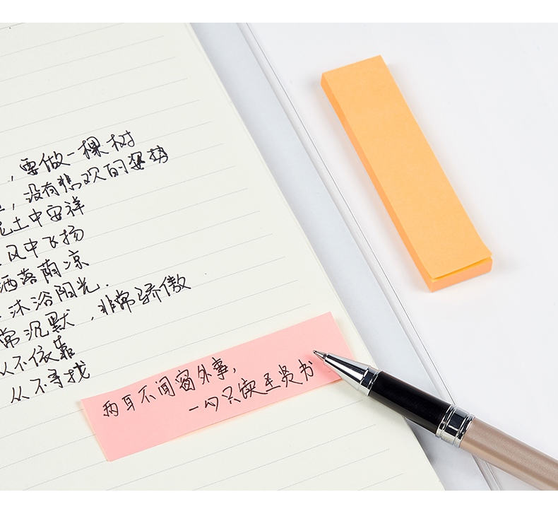 TZ4005(790)_12.jpg