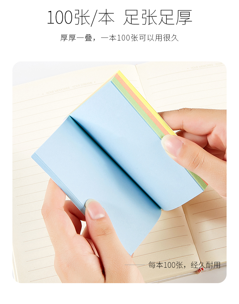 TZ-2010(790)_06.jpg