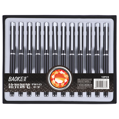 PM143 0.5mm Metal Fountain Pen