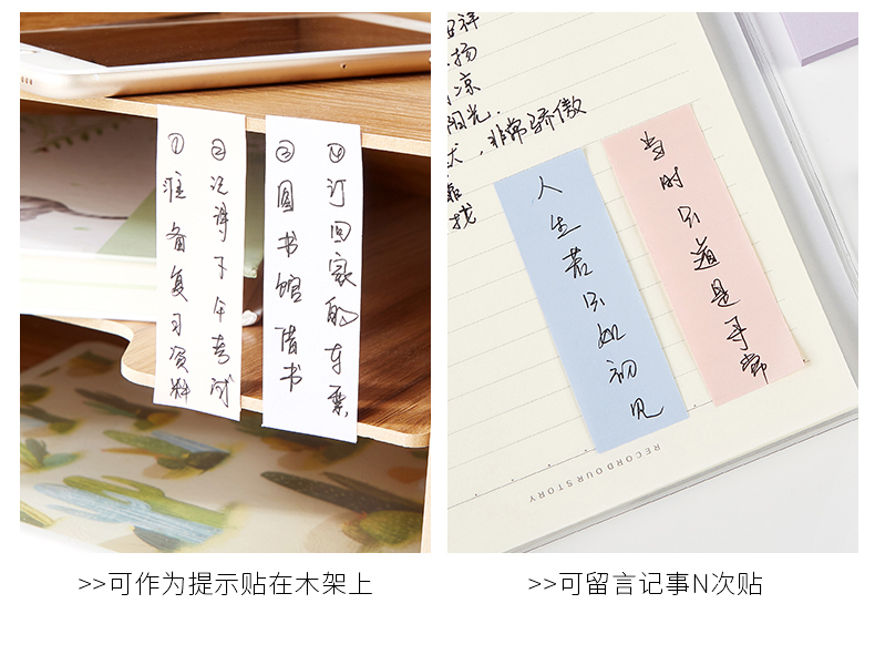 TZ-3010(790)_08.jpg